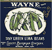 limabeans